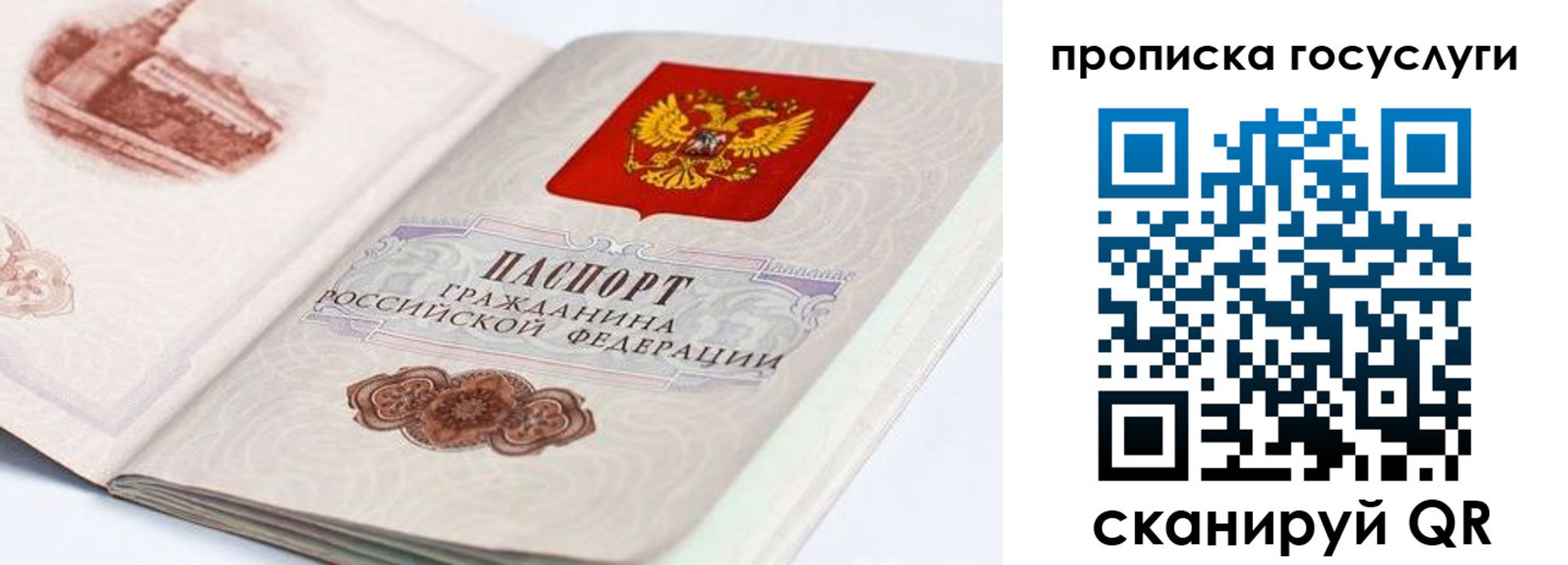 прописка регистрация в Архангельской области